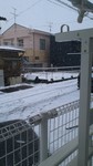 snow1115.JPG